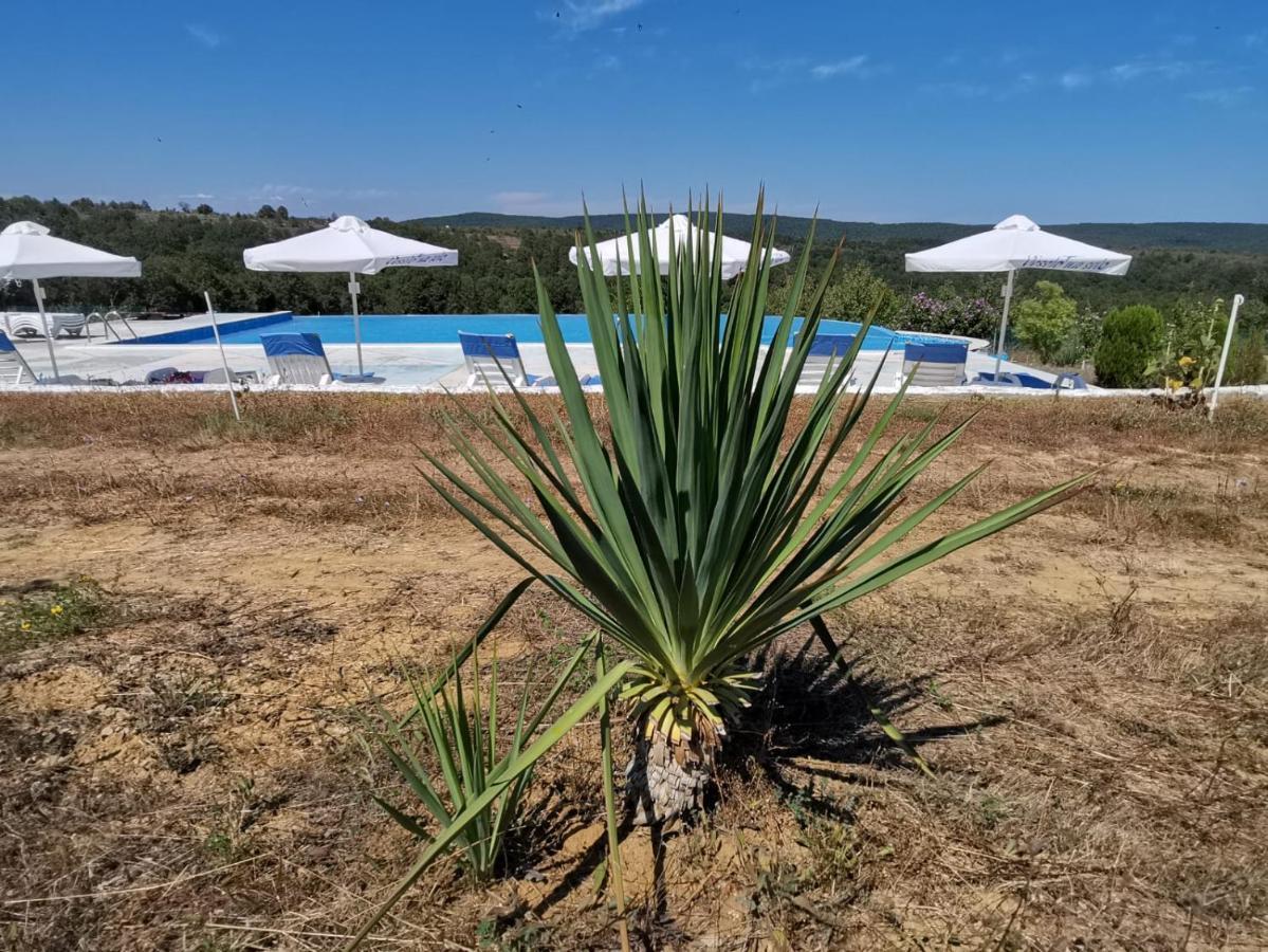Banya  Villa Emine מראה חיצוני תמונה