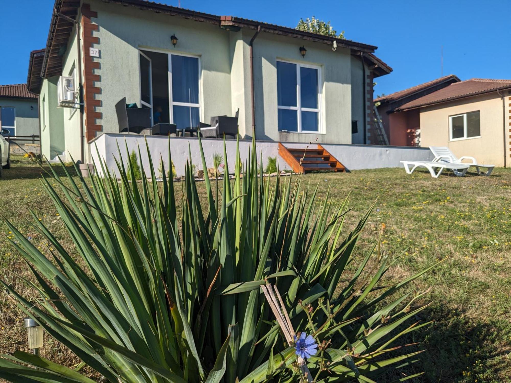 Banya  Villa Emine מראה חיצוני תמונה